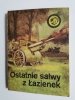 ŻÓŁTY TYGRYS: OSTATNIE SALWY Z ŁAZIENEK - Andrzej Monastyrski 1986